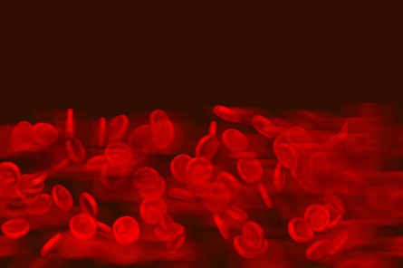 Hematologie